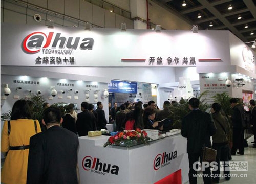 大华股份年报点评